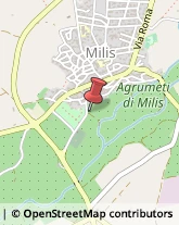 Agrumi Milis,09070Oristano