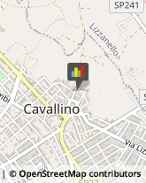 Pensioni Cavallino,73020Lecce