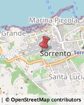 Ricerca Scientifica - Istituti Sorrento,80067Napoli