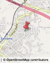 Piante e Fiori - Dettaglio Saviano,80039Napoli