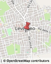 Macellerie Leverano,73045Lecce