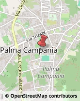 Imprese Edili Palma Campania,80036Napoli