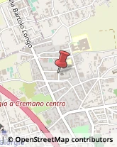 Piante e Fiori - Dettaglio San Giorgio a Cremano,80046Napoli
