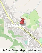 Aziende Agricole Spinazzola,70058Barletta-Andria-Trani