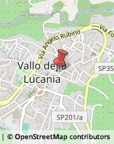 Imprese Edili Vallo della Lucania,84078Salerno