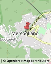 Associazioni Sindacali Mercogliano,83013Avellino