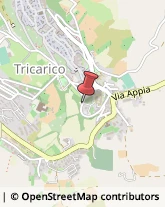 Traduttori ed Interpreti Tricarico,75019Matera