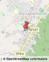 Piante e Fiori - Dettaglio Roccapiemonte,84086Salerno