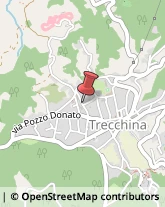 Pasticcerie - Dettaglio Trecchina,85049Potenza