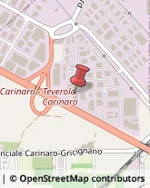 Fibre Tessili Carinaro,81032Caserta