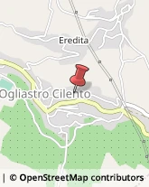 Avvocati Ogliastro Cilento,84061Salerno