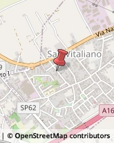 Informazioni Commerciali San Vitaliano,80030Napoli