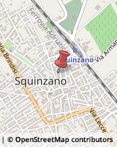 Consulenze Speciali Squinzano,73018Lecce