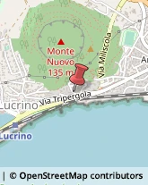 Palestre e Centri Fitness,80078Napoli