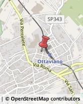 Distillerie Ottaviano,80044Napoli