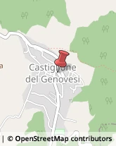 Farmacie Castiglione del Genovesi,84090Salerno