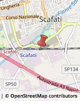 Vivai Piante e Fiori Scafati,84018Salerno