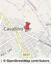 Registratori Di Cassa Cavallino,73020Lecce