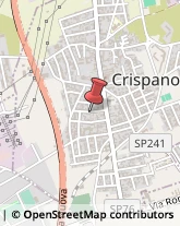 Pollame, Conigli e Selvaggina - Ingrosso Crispano,80020Napoli