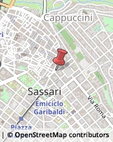 Piante e Fiori - Dettaglio Sassari,07100Sassari