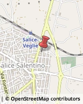 Agenzie di Animazione e Spettacolo Salice Salentino,73015Lecce