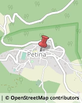 Autolinee Petina,84020Salerno