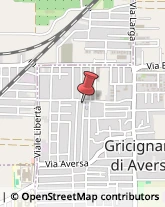 Professionali - Scuole Private Gricignano di Aversa,81030Caserta