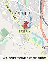 Zootecnia - Prodotti Agropoli,84043Salerno