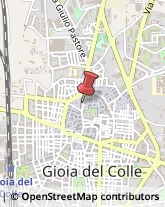 Borse - Dettaglio Gioia del Colle,70023Bari