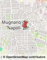 Pollame, Conigli e Selvaggina - Dettaglio Mugnano di Napoli,80018Napoli