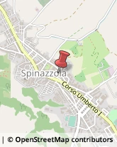 Comuni e Servizi Comunali Spinazzola,76014Barletta-Andria-Trani