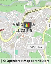 Imprese Edili Vallo della Lucania,84078Salerno