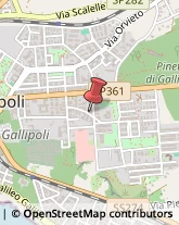 Vernici per Edilizia Gallipoli,73014Lecce