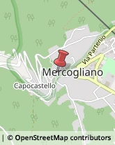 Panetterie Mercogliano,83013Avellino