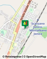 Riproduzione Disegni - Servizio Scanzano Jonico,75020Matera