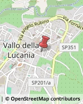 Scuole e Corsi di Lingua Vallo della Lucania,84078Salerno