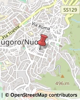 Scuole e Corsi per Corrispondenza e Teledidattica Nuoro,08100Nuoro