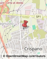 Pollame, Conigli e Selvaggina - Ingrosso Crispano,80020Napoli