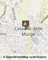 Alimenti Surgelati - Dettaglio Cassano delle Murge,70020Bari