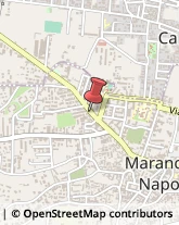 Vivai Piante e Fiori Marano di Napoli,80016Napoli