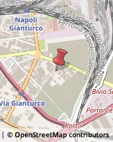 Professionali - Scuole Private Napoli,80146Napoli
