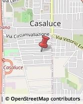 ,81030Caserta