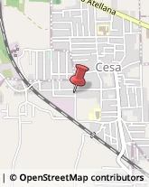 Professionali - Scuole Private Cesa,81030Caserta