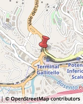 Palestre e Centri Fitness,85100Potenza