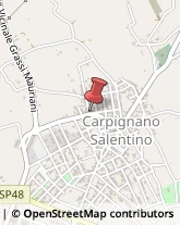Oli Alimentari e Frantoi Carpignano Salentino,73020Lecce