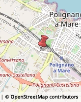 Piante e Fiori - Ingrosso Polignano a Mare,70044Bari