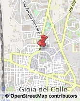 Trasportatori Meccanici Gioia del Colle,70023Bari