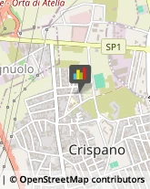 Sartorie Crispano,80020Napoli