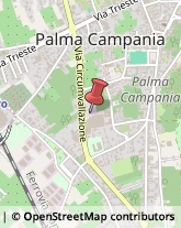 Alimenti Conservati Palma Campania,80036Napoli