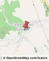 Aziende Agricole Castelnuovo Cilento,84040Salerno